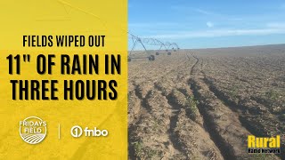 Nebraska farmer: Flooding wipes out nearly 40 years of no-till farm ground | Fridays in the Field