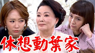 一家團圓│EP145 千面女郎利用曹鳳陷害葉家 阿嬤主動接受調查望葉家兄弟其利斷金 Family Reunion│ Vidol.tv