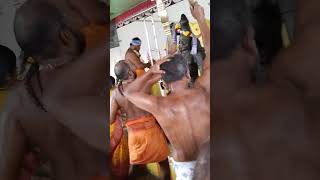 பனையன்குறிச்சி ஸ்ரீ பாறையடி சாமி கோவில் மண்டல பூஜை விழா(5)