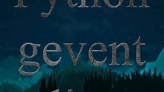 Python - gevent - Socket client,server