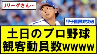 【速報】プロ野球、7月頭の土日の観客動員数wwwwwwwwwwwwwww【反応集】【プロ野球反応集】【2chスレ】【1分動画】【5chスレ】