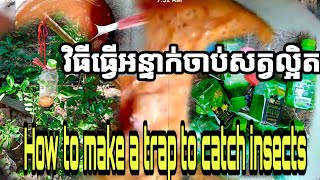 #សំខាន់ណាស់: អន្ទាក់ចាប់សត្វល្អិត អាចចាប់បាន24ម៉ោង