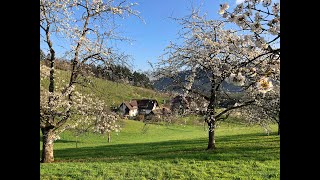 Oberkircher Brennersteig - genussreiche Wanderung mit schönen Ausblicken