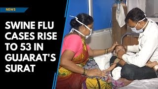 Swine flu cases rise to 53 in Gujarat's Surat