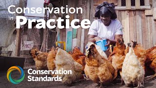 Conservation in Practice | WCS Congo