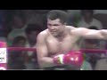 muhammad ali vs michael dokes hd 60fps highlights muhammad alining jangi