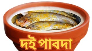 Doi Pabda Recipe | Pabda Fish Recipe | দই দিয়ে পাবদা মাছের রেসিপি | দই পাবদা