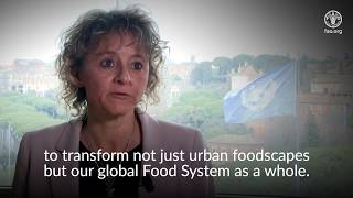 Launch of the FAO framework for Urban Food Agenda