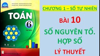 TOÁN LỚP 6 - CHÂN TRỜI SÁNG TẠO-BÀI 10-SỐ NGUYÊN TỐ. HỢP SỐ. PHÂN TÍCH RA THỪA SỐ NG. TỐ - Lý Thuyết