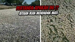 Penomena Aneh Jutaan Ikan Mendadak Mati , Pertanda Apakah ini !?