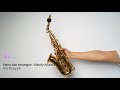 Kamu dan kenangan - Maudy Ayunda || Saxophone cover by Kizi Rusyadi