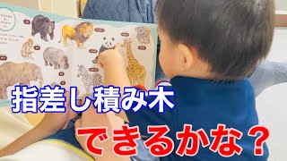 【1歳半検診】指差し積み木どれだけできる？