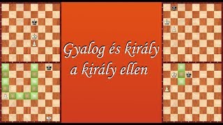 SAKKISKOLA 3.1: Gyalog és király a király ellen