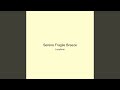 Serene Fragile Breeze