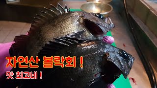 볼락회와 매운탕 최고네! 볼락 많이 드세요 !!