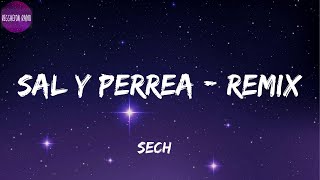 Sech -Sal y Perrea - Remix(letra)