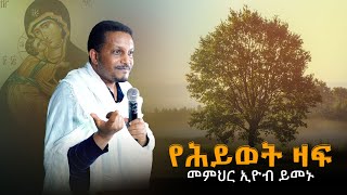 የሕይወት ዛፍ | መምህር ኢዮብ ይመኑ