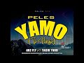 PELES YAMO _ ANZ FLY FT TASIK YARD #prod by dehdeh sound prod