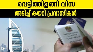 வெட்டித்திளங்கி விசா, அடித்து ஏறிய பயணிகள் | UAE புதிய விசா விதிகள் | புதிய தொழிலாளர் சட்டம் | UAE புதிய சட்டம் 2025