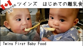 【双子はじめての離乳食】カナダ双子育児（Vlog#31) Twins First Baby Food