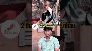 Thầy và anh báu nhớ nhau #thichminhtue #doanvanbau #minhtuemoinhat #shortvideo #baoboibovi #funny