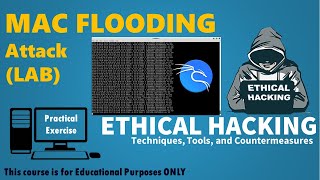 MAC Flooding ATTACKS: What They Are & How They Work