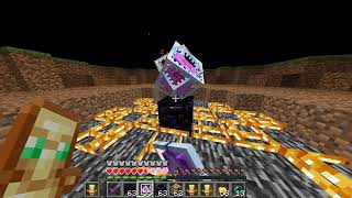 Warden VS Crystal PVP🗿