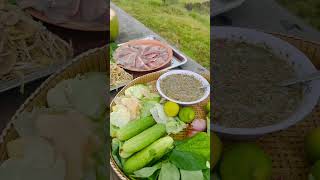 សាកថ្មជីវិតនៅចំការ Happy life at my field #youtubeshorts  #lovetocookformyfamily