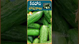 కీరదోస ఎందుకు తినాలో తెలుసా..? keera health benefits #drcalmssanjeevani #keera #ytshorts #cucumber