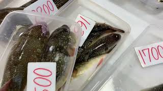 道の駅笠岡ベイファーム直売所鮮魚コーナー3／18