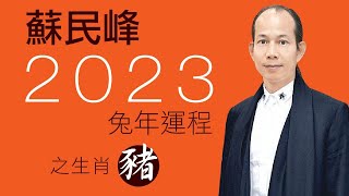 蘇民峰 2023兔年十二生肖運程之豬生肖