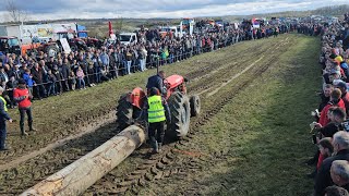 Traktorijada Srbac 2024 - Vuča trupca sve kategorije 4k