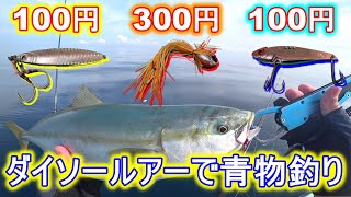 【浅場限定】カヤックでダイソールアー使ってみたら普通に青物釣れた。