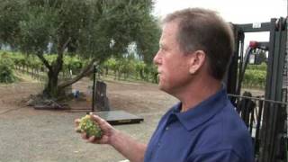 Control of European Grapevine Moth in California