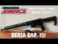 Bersa's New AR-15! WHY DID THEY MAKE THIS??