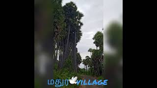 மதுரை மாவட்டத்தில் சின்ன மாங்குளம் village