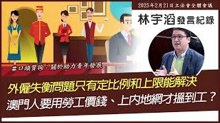 外僱失衡問題只有定比例和上限能解決｜林宇滔立法會發言紀錄｜口頭質詢 (2025/02/22)#