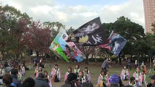 おどるんや秋祭り2018　乱痴気