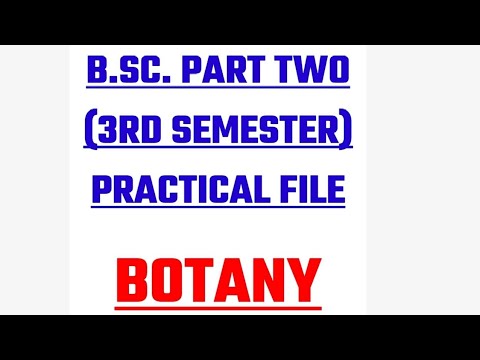 BSc Second Year Third Semester Practical File Botany||BSc 3rd Semester ...