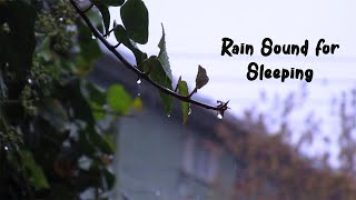 Rain Sound for Sleeping 30 Minute || SoundXO