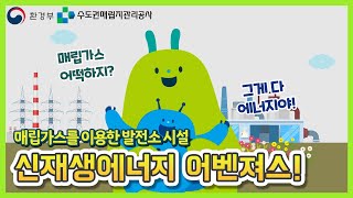 [랜디\u0026필리] 신재생에너지 어벤져스 입성기🌎 | 매립가스를 이용한 발전소 시설