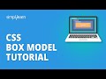 CSS Box Model Tutorial  CSS Box Model Explained  CSS Tutorial For Beginners  Simplilearn