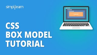 CSS Box Model Tutorial CSS Box Model Explained CSS Tutorial For Beginners Simplilearn