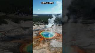 What makes the Yellowstone hot springs so colorful? #yellowstone #hotspring #tourism #usa