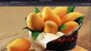 HackTheBox #058 Mango