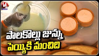 Hyderabad Famous Palakollu Junnu Tastes Delicious With Health Benefits | Pot Junnu | V6 Life