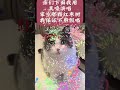 保证真嗓 不是对口型 搞笑短視頻合集 开心一刻 shorts shortvideo short