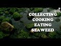 EXPLODING Homemade Crispy Fried Seaweed