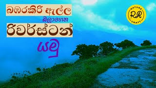 Riverston Matale Sri Lanka නකල්ස් කඳුවැටියේ සුන්දර වළාකුළු වනාන්තර