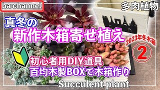 398{多肉植物}⛄️ 冬の新木箱に寄せ植え💓超初心者用DIY道具のご紹介【ウッドプランター】【黒系多肉】【うまく育たない株を寄せ植えする理由】【簡単木箱作り】【ba多肉】【Succulent】